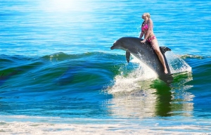Soñar con delfines significado