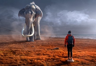 Soñar con elefantes significado